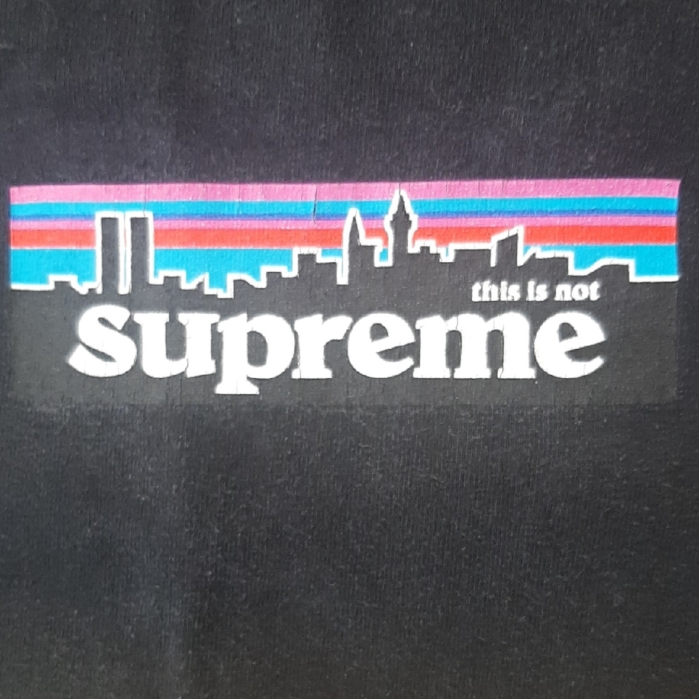 "THIS IS NOT Supreme"🟥⬆️1998 JAPAN-EXCLUSIVE Black Tee "PATAGONIA" Skyline SZ M